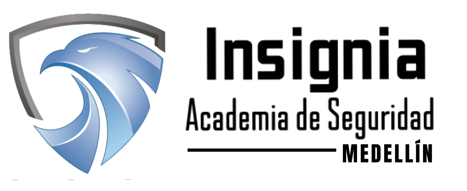 Academia Insignia Medell&iacute;n